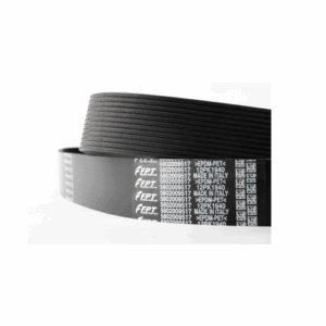 Keilriemen Dayco 10PK1555HD FPT Iveco 504078068
