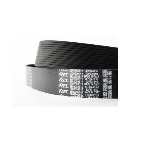 Keilriemen Dayco 10PK1555HD FPT Iveco 504078068